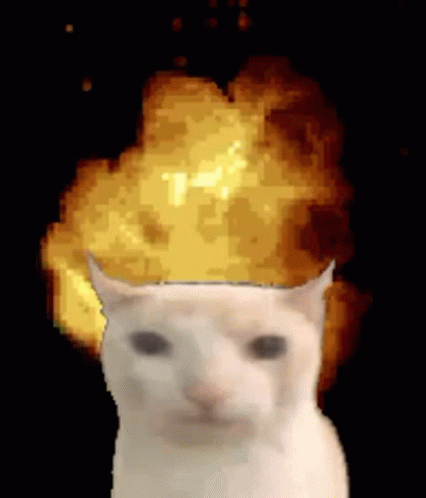 an very cool cat in front of an explosion